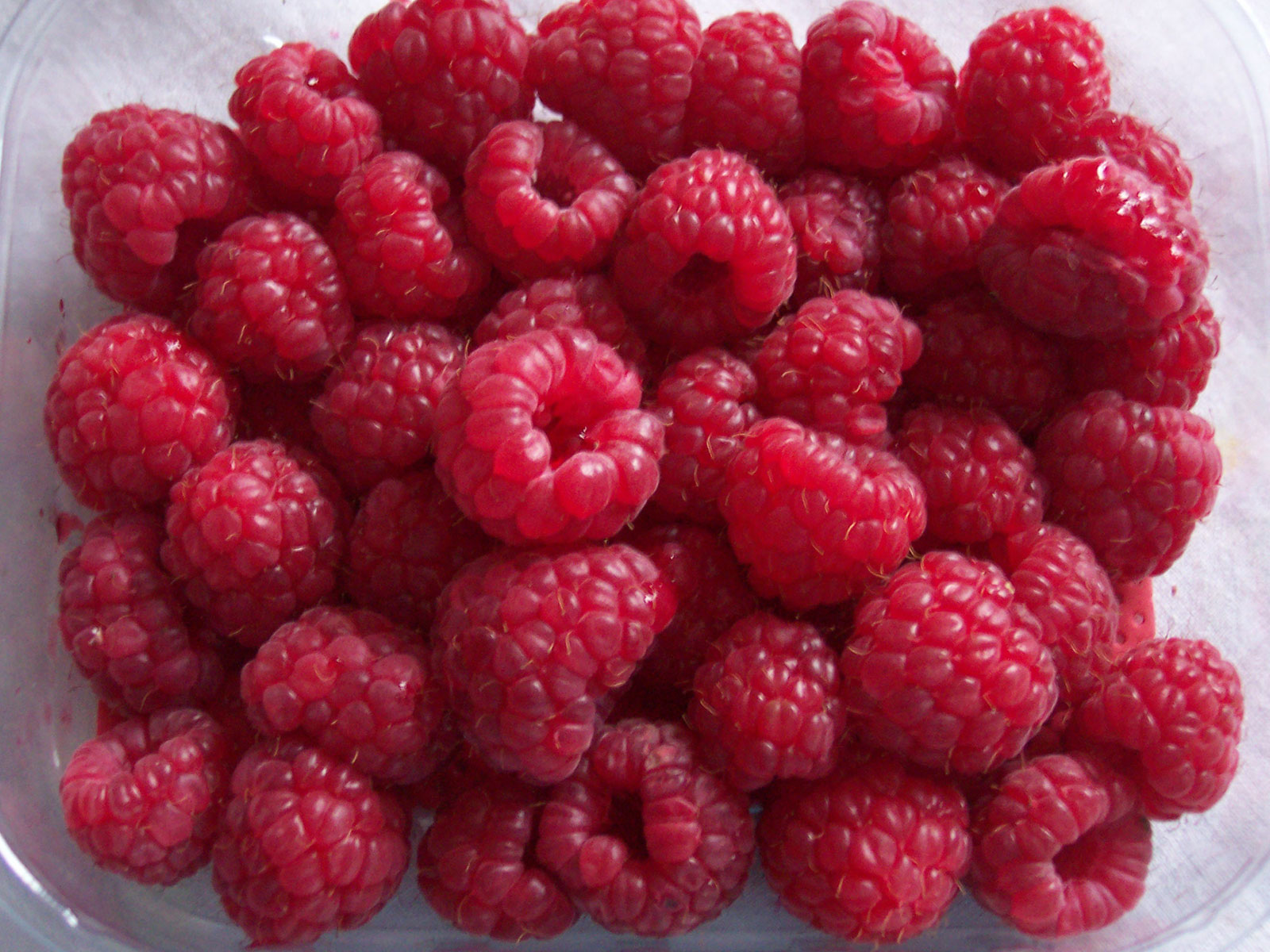 Faire Früchtchen 20
