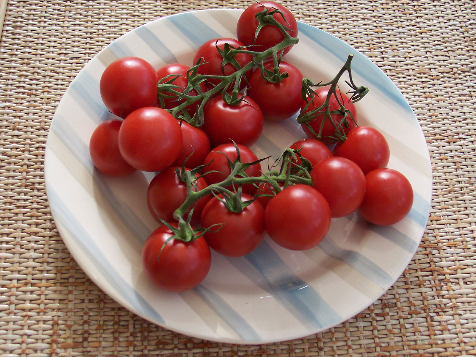 Faire Früchtchen 26