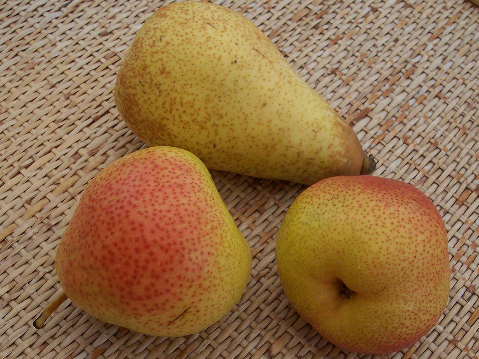 Faire Früchtchen 27